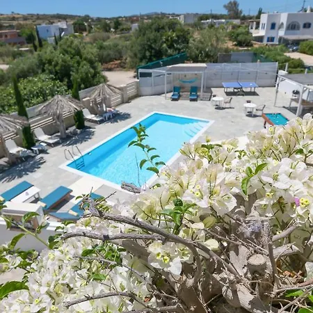 Dahlia And 3* Aliki (Paros)