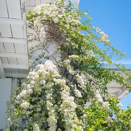 Bed & Breakfast Dahlia And Aliki (Paros)