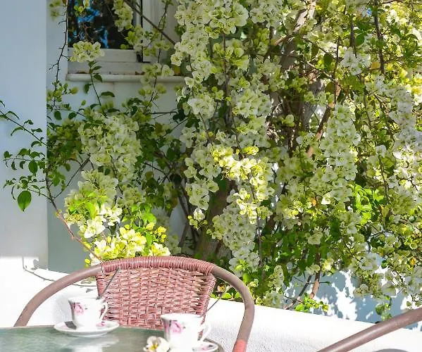 Dahlia And Couette-café 4*