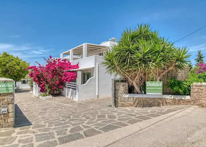 Dahlia And Couette-café