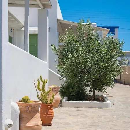 Bed & Breakfast Dahlia And 4*