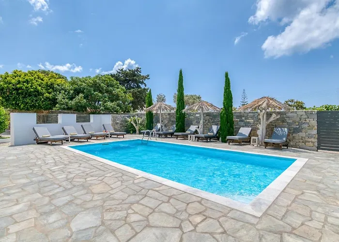 Dahlia And 4* Alikí